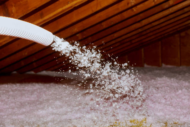 Best Residential Insulation in Glen Burnie, MD